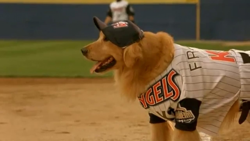 Air Bud: Seventh Inning Fetch